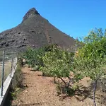 Casa De Abuelos * Vilaflor