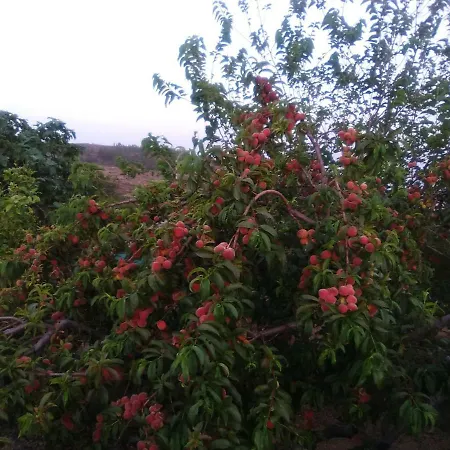 Casa De Abuelos Semesterbostad *