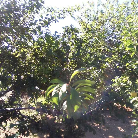 بيت للعطل Casa De Abuelos *