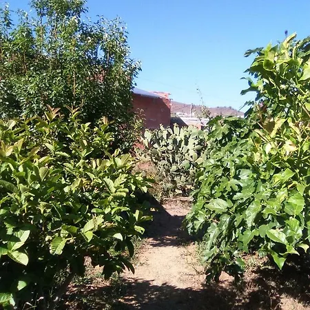 Casa De Abuelos וילפלור