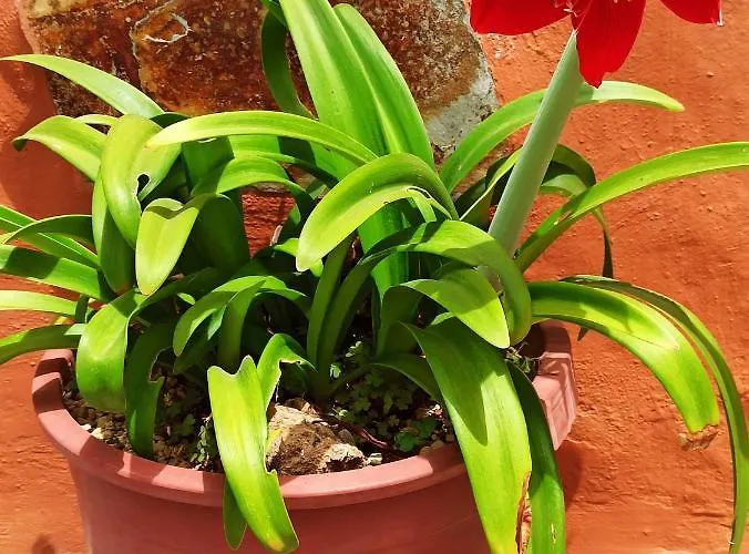 Casa De Abuelos Casa vacanze *