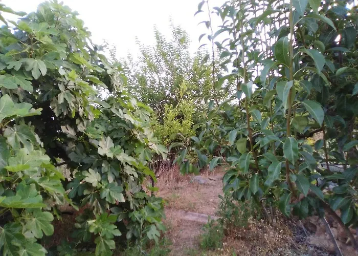 Casa De Abuelos Prázdninový dům *