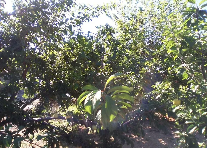 Vakantiehuis Casa De Abuelos *