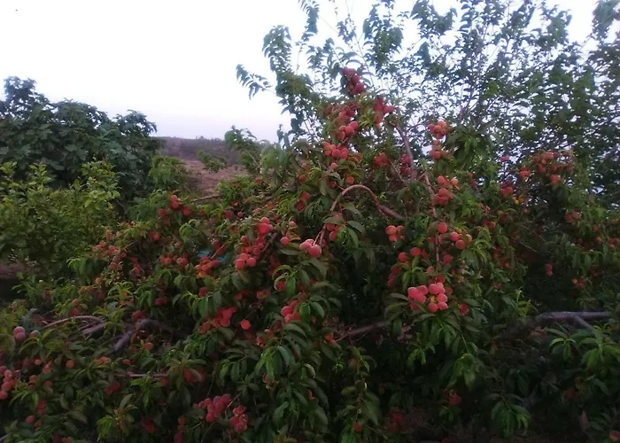 Casa De Abuelos Dom wakacyjny *