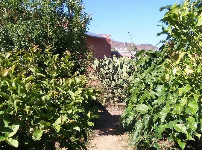 Casa De Abuelos Vilaflor