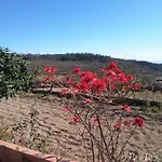 Casa De Abuelos Prázdninový dům *