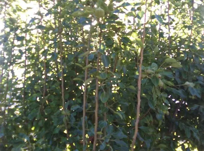 Casa De Abuelos Prázdninový dům